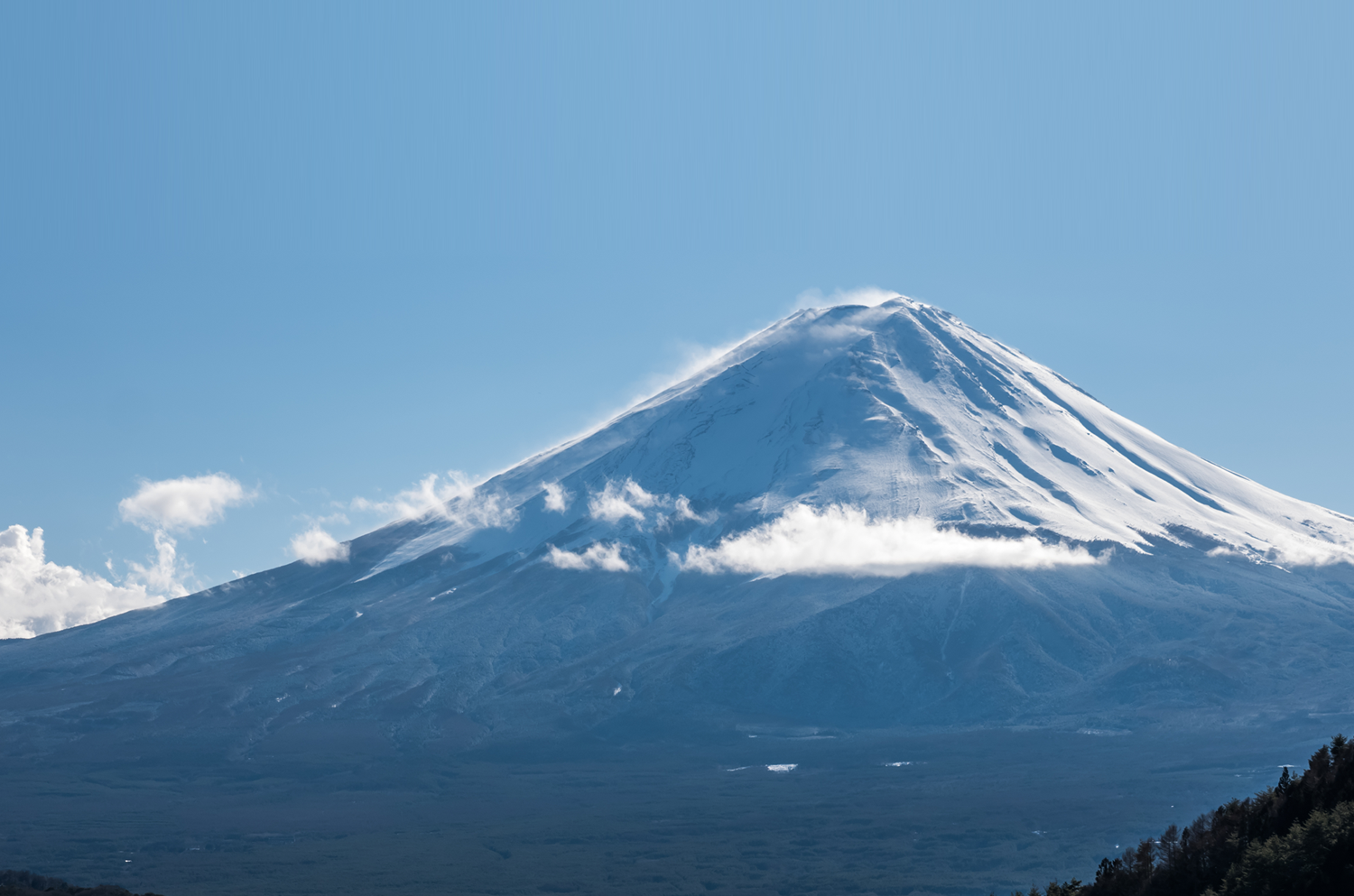 ニュース 生活協同組合パルシステム山梨 生協 山梨 Coop